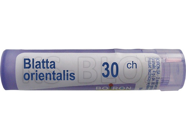 Blatta Orientalis 30 CH interakcje ulotka granulki  4 g