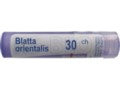 Blatta Orientalis 30 CH interakcje ulotka granulki  4 g