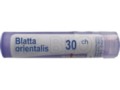 Blatta Orientalis 30 CH interakcje ulotka granulki  4 g
