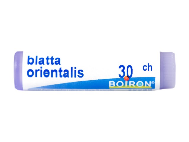 Blatta Orientalis 30 CH interakcje ulotka granulki w pojemniku jednodawkowym - 1 g