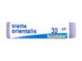Blatta Orientalis 30 CH interakcje ulotka granulki w pojemniku jednodawkowym  1 g