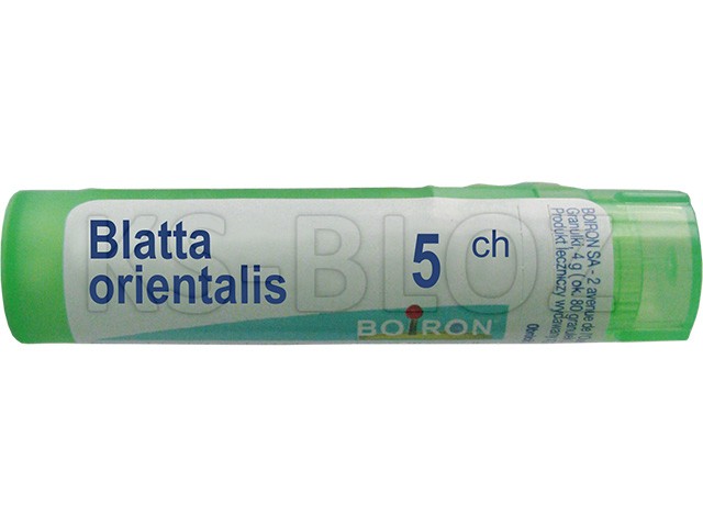 Blatta Orientalis 5 CH interakcje ulotka granulki  4 g