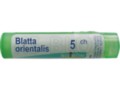 Blatta Orientalis 5 CH interakcje ulotka granulki  4 g
