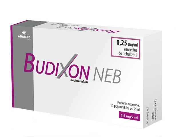 Budixon Neb interakcje ulotka zawiesina do nebulizacji 250 mcg/ml 10 poj. po 2 ml