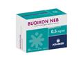 Budixon Neb interakcje ulotka zawiesina do nebulizacji 500 mcg/ml 20 poj. po 2 ml