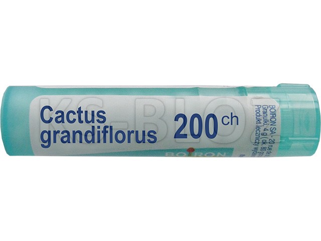Cactus Grandiflorus 200 CH interakcje ulotka granulki  4 g