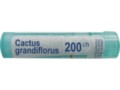 Cactus Grandiflorus 200 CH interakcje ulotka granulki  4 g