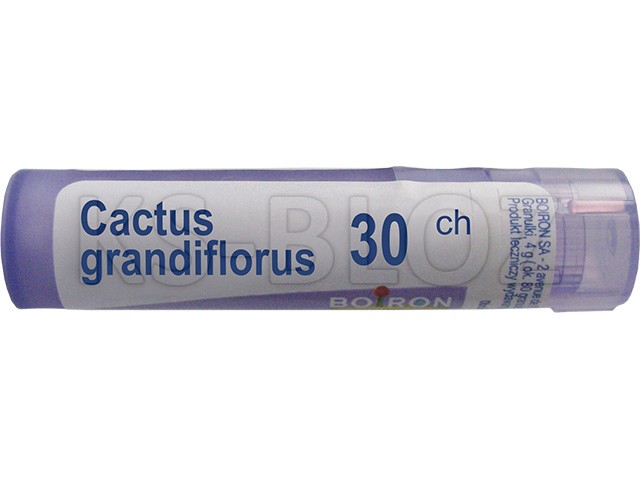 Cactus Grandiflorus 30 CH interakcje ulotka granulki  4 g