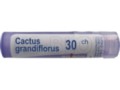Cactus Grandiflorus 30 CH interakcje ulotka granulki  4 g