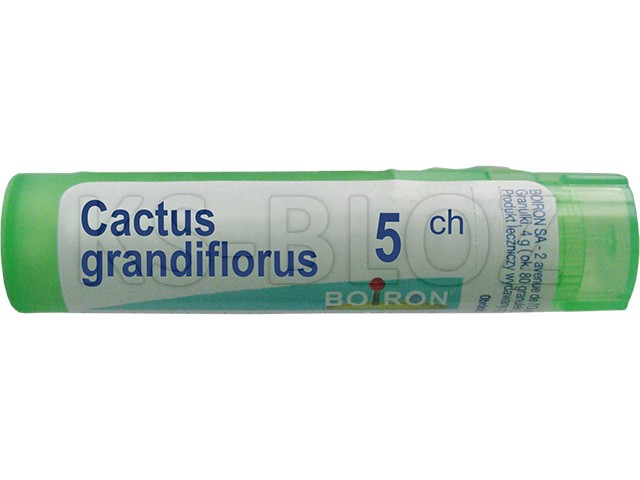 Cactus Grandiflorus 5 CH interakcje ulotka granulki  4 g