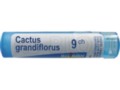 Cactus Grandiflorus 9 CH interakcje ulotka granulki  4 g