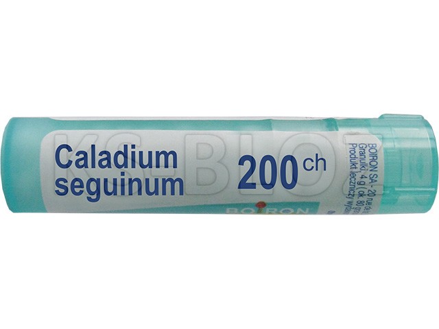 Caladium Seguinum 200 CH interakcje ulotka granulki  4 g