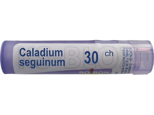 Caladium Seguinum 30 CH interakcje ulotka granulki  4 g