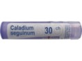 Caladium Seguinum 30 CH interakcje ulotka granulki  4 g