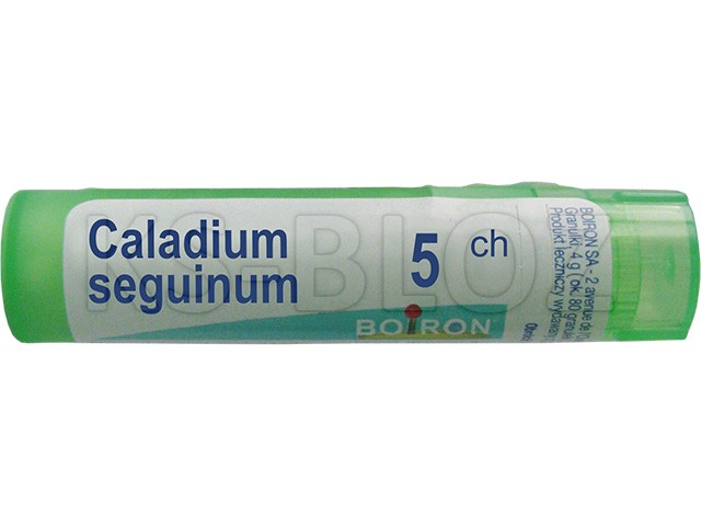Caladium Seguinum 5 CH interakcje ulotka granulki  4 g