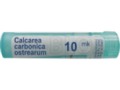 Calcarea Carbonica Ostrearum 10 MK interakcje ulotka granulki  4 g