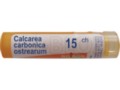 Calcarea Carbonica Ostrearum 15 CH interakcje ulotka granulki  4 g