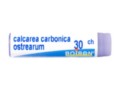Calcarea Carbonica Ostrearum 30 CH interakcje ulotka granulki w pojemniku jednodawkowym  1 g