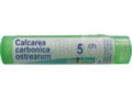 Calcarea Carbonica Ostrearum 5 CH interakcje ulotka granulki  4 g