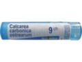 Calcarea Carbonica Ostrearum 9 CH interakcje ulotka granulki  4 g