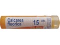 Calcarea Fluorica 15 CH interakcje ulotka granulki  4 g