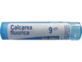 Calcarea Fluorica 9 CH interakcje ulotka granulki  4 g