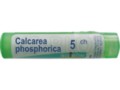 Calcarea Phosphorica 5 CH interakcje ulotka granulki  4 g