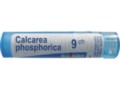 Calcarea Phosphorica 9 CH interakcje ulotka granulki  4 g