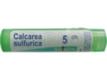 Calcarea Sulfurica 5 CH interakcje ulotka granulki  4 g