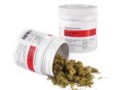 Cannabis Sativa L.red No 2 interakcje ulotka   10 g