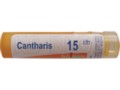 Cantharis 15 CH interakcje ulotka granulki  4 g