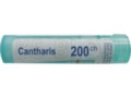 Cantharis 200 CH interakcje ulotka granulki  4 g