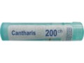 Cantharis 200 CH interakcje ulotka granulki  4 g