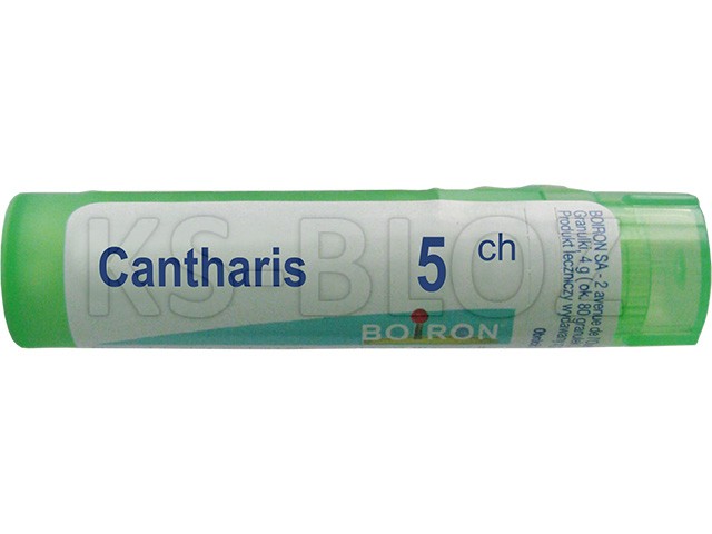 Cantharis 5 CH interakcje ulotka granulki  4 g
