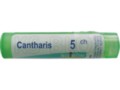 Cantharis 5 CH interakcje ulotka granulki  4 g