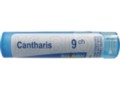 Cantharis 9 CH interakcje ulotka granulki  4 g