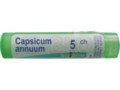 Capsicum Annuum 5 CH interakcje ulotka granulki  4 g