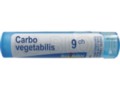 Carbo Vegetabilis 9 CH interakcje ulotka granulki  4 g