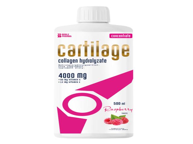 Cartilage Concentrate Koncentrat w płynie o smaku malinowym interakcje ulotka koncentrat - 500 ml