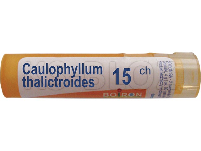 Caulophyllum Thalictroides 15 CH interakcje ulotka granulki  4 g
