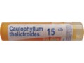 Caulophyllum Thalictroides 15 CH interakcje ulotka granulki  4 g