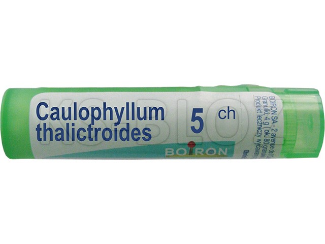 Caulophyllum Thalictroides 5 CH interakcje ulotka granulki  4 g