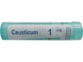 Causticum 1 MK interakcje ulotka granulki  4 g