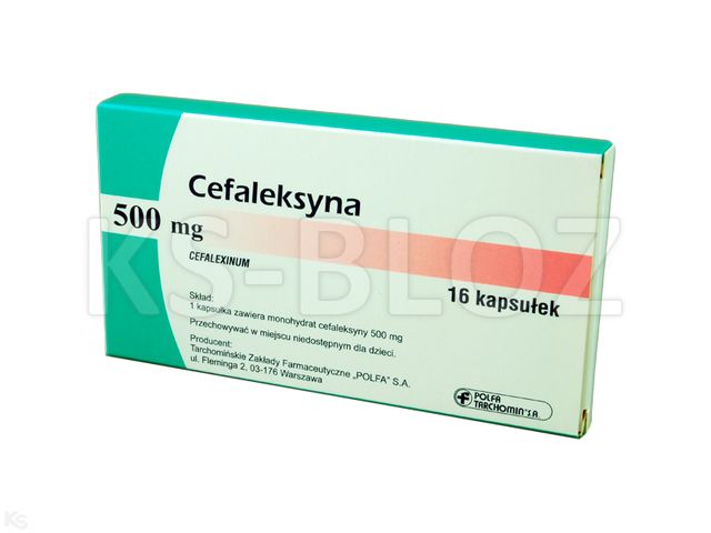Cefaleksyna TZF interakcje ulotka kapsułki twarde 500 mg 16 kaps. (1 blist. po 16 kaps.)