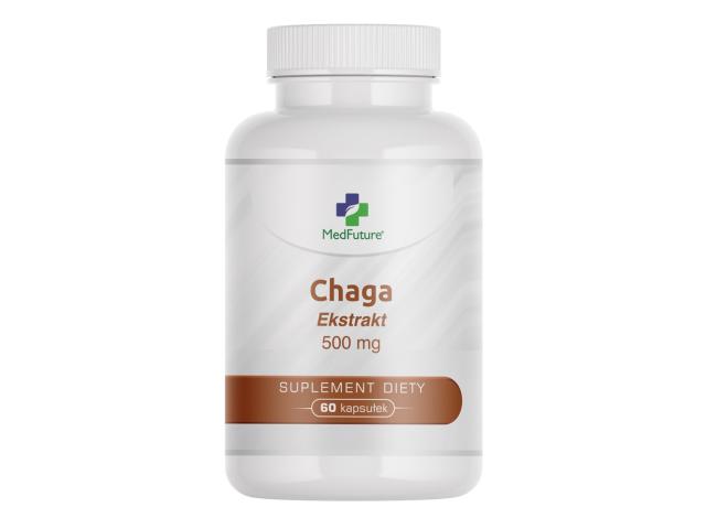 Chaga Ekstrakt 500 mg interakcje ulotka kapsułki  60 kaps.