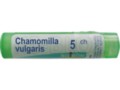 Chamomilla Vulgaris 5 CH interakcje ulotka granulki  4 g
