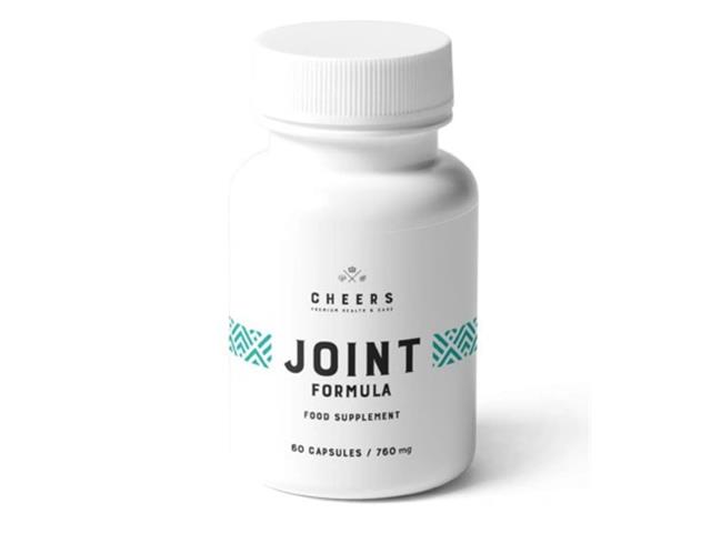 Cheers Joint Formula interakcje ulotka kapsułki - 60 kaps.