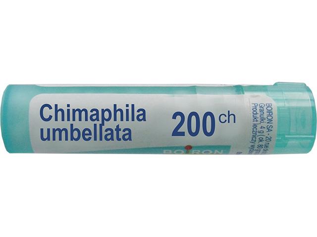 Chimaphila Umbellata 200 CH interakcje ulotka granulki  4 g