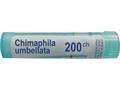 Chimaphila Umbellata 200 CH interakcje ulotka granulki  4 g