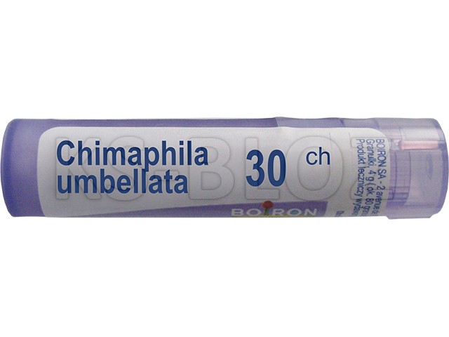 Chimaphila Umbellata 30 interakcje ulotka granulki  4 g